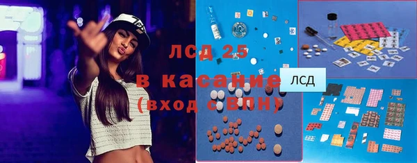 стаф Алзамай