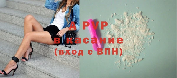 стаф Алзамай