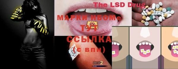 стаф Алзамай