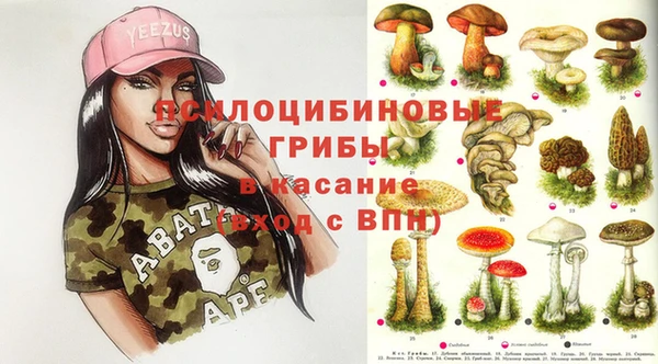 ALPHA PVP Козельск