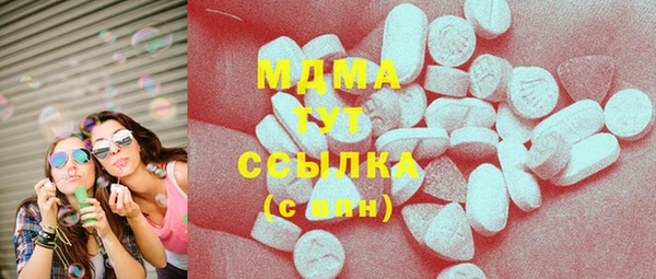 стаф Алзамай