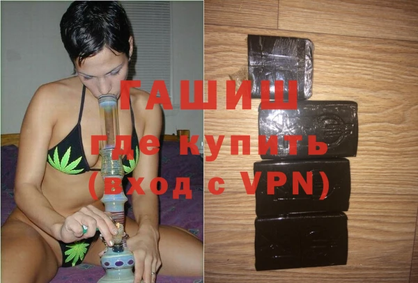 стаф Алзамай