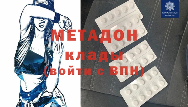 стаф Алзамай