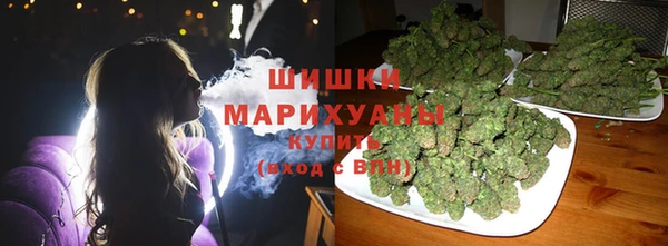 стаф Алзамай