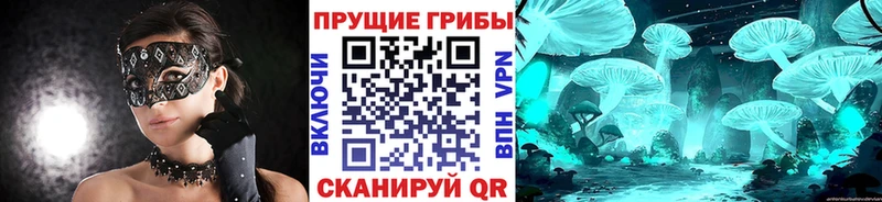 купить закладку  Алушта  Галлюциногенные грибы MAGIC MUSHROOMS 
